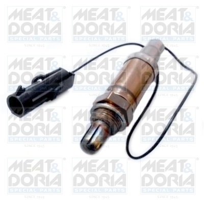 Oxygen Sensor